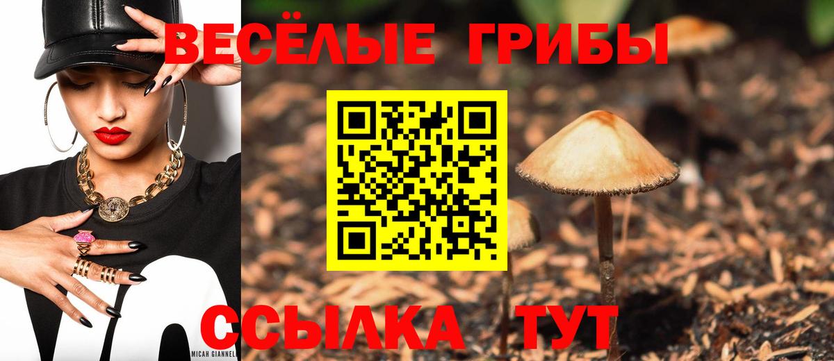 Будённовск  купить наркоту  Вход с VPN  Галлюциногенные грибы ЛСД  Галлюциногенные грибы Cubensis 